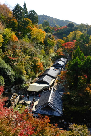 Kyoto2211046.jpg