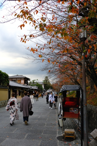 Kyoto2211063.jpg