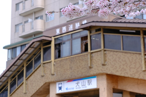 Sakura23041.jpg
